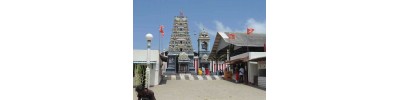 192. திருக்கேதீச்சரம்